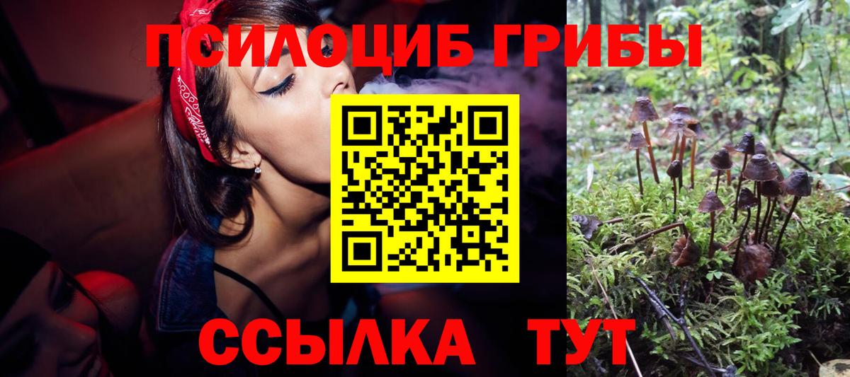 Псилоцибиновые грибы GOLDEN TEACHER Костомукша