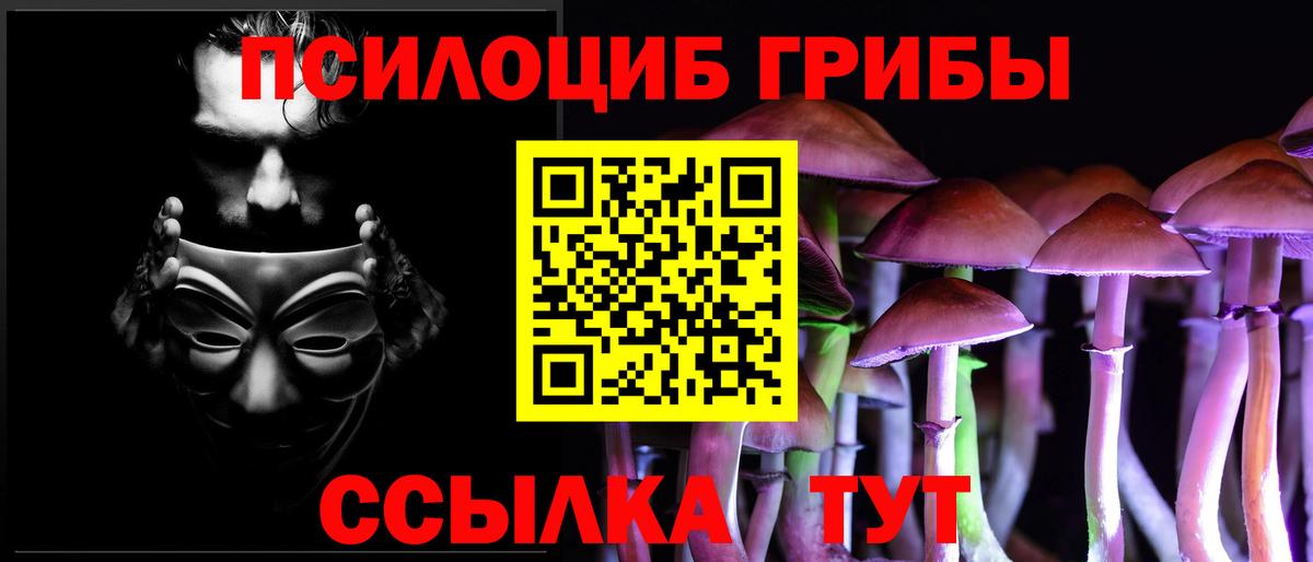 Галлюциногенные грибы Psilocybine cubensis Костомукша